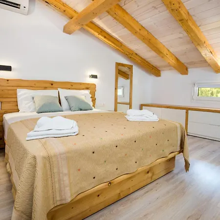 Rodon Tripiti Nest Exsecutive يميناريا