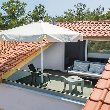 Rodon Tripiti Nest Exsecutive *